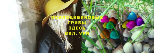 ГАЛЛЮЦИНОГЕННЫЕ ГРИБЫ Алзамай