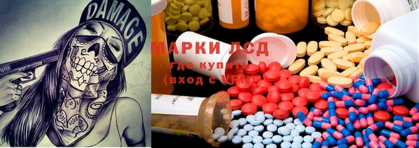ГАЛЛЮЦИНОГЕННЫЕ ГРИБЫ Алзамай