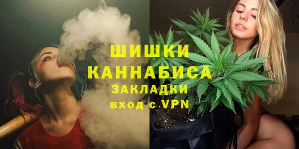 ГАЛЛЮЦИНОГЕННЫЕ ГРИБЫ Алзамай