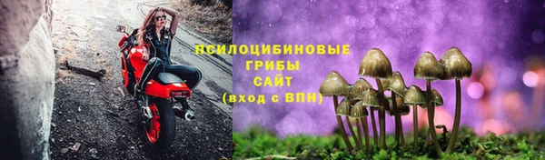 молекула духа Абдулино